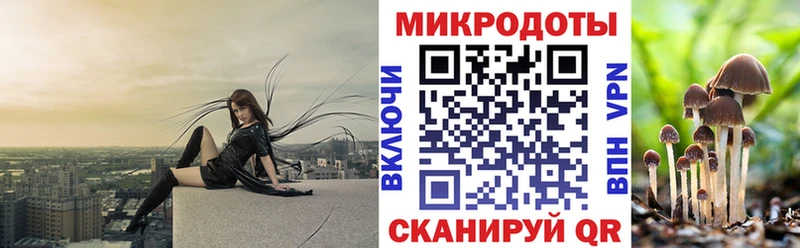 Галлюциногенные грибы Psilocybe  цены наркотик  Советский 