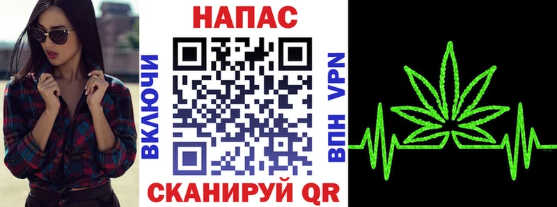 где продают наркотики Советский Канабис сатива